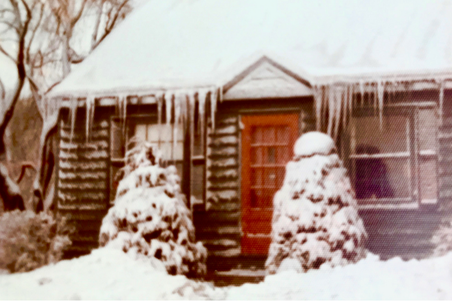 The orange door1