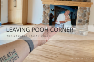 Leaving Pooh Corner - Lorri Weisen