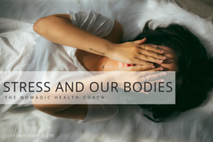 stress and our bodies