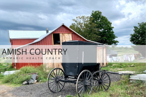 Amish community